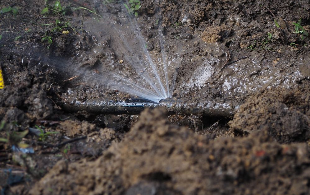 Water Renewal Services Camberwell